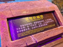 -哈尔滨波塞冬海底世界