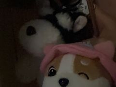 -霸王茶姬(西单百货店)