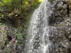 -阳台山森林公园