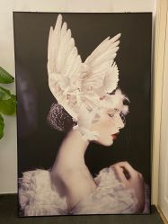 -DEM缔怡美科技美容