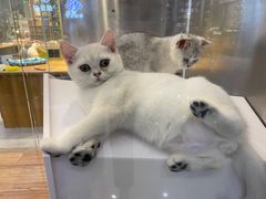 -狗道宠物(常熟印象城店)