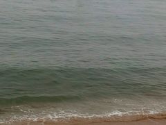 小鸟在海中央-莲花峰风景区