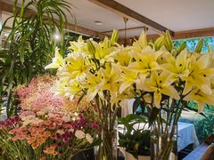 -春暖花开(西溪店)