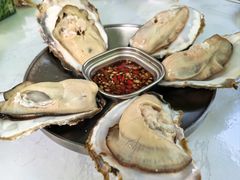 -蚝堡·生蚝海鲜烧烤物种起源•海肠捞饭(刘公岛店)