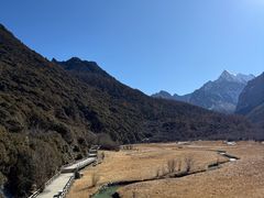 -稻城亚丁景区-冲古草甸