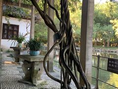 -西园戒幢律寺