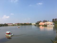 -上海长兴岛郊野公园