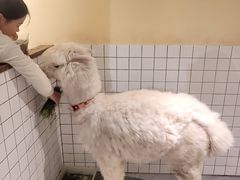 -琪航健身工作室(徐汇光大店)