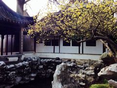 -昆山城市生态森林公园