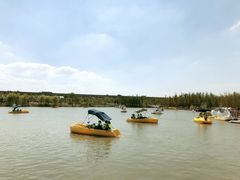 -上海浦江郊野公园·1号停车场