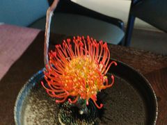 -大拙里·精致融合菜(沙湖桃源国际店)