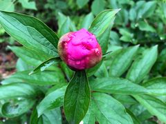 -磐安舞龙峡景区