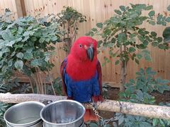 -南宫五洲植物乐园