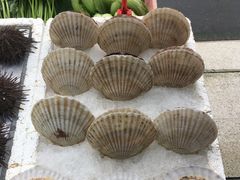 -蚝专家(北滘店)