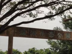 -小洲村