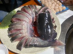 -桃源村铁锅炖鱼(体育馆道店)