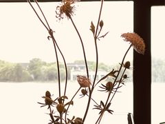 -江南雅厨(李公堤店)