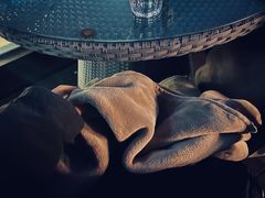 -顽啤熊·酒客酒馆(苏城夜景必选店)