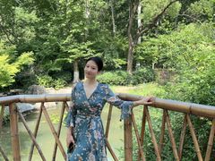-习家池