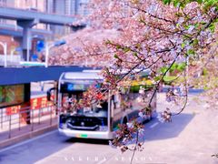 -南浦大桥长途旅游客运站