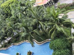 -三亚海棠湾喜来登度假酒店