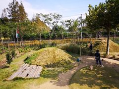 -前小桔亲子创意农场·草莓采摘·露营烧烤