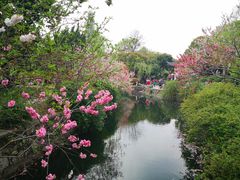 -无锡蠡湖国家湿地公园-蠡园
