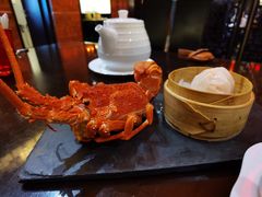 彩海轩澳龙大虾饺-海航大厦万豪酒店彩海轩中餐厅(霄云路店)