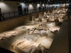 -洛阳周王城天子驾六博物馆