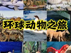 -天津自然博物馆