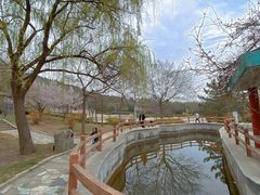 -浮来山风景区