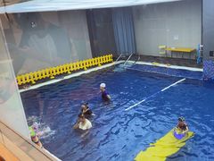 -酷游亲子游泳中心
