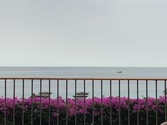 -日落吧·海景咖啡厅·餐酒吧·鸡尾酒·下午茶·乐队表演·浪漫夕阳·三亚文华东方酒店