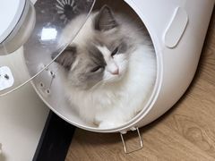 -FAELING PETS美天灵宠物(富力广场店)