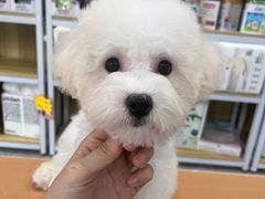 -安安宠医·臻爱宠物医院·宠保定点(营门口路分院)