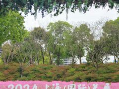 -春花秋色城市公园