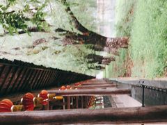 -杭州双溪漂流景区