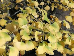 -金堂县云顶石城风景区