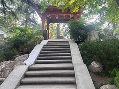 -大雁塔北广场音乐喷泉