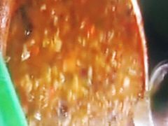 -老字号贾家肉丸糊辣汤(光明巷店)