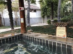 -观唐（国际）度假村温泉
