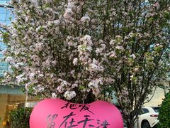 -天津水游城丽筠酒店