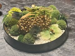 -凤凰湘语(浦东旗舰店)