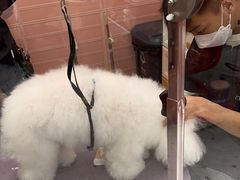 -FAELING PETS美天灵宠物(合生汇店)