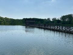 -溱湖国家湿地公园