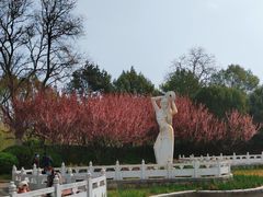 -丰台花园