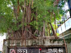 -协同和机器厂博物馆