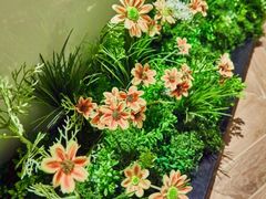 -小仙女采耳·按摩·SPA(深圳旗舰店)