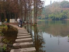 -重庆彩云湖湿地公园