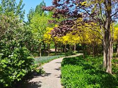 -东疆建设开发纪念公园